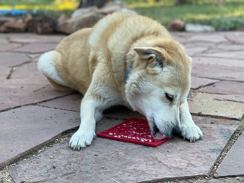 Heart Design "Love" eMat Enrichment Lick Mat - 810216026189