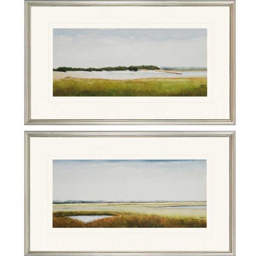 Set Of Two Marshlands Ii Set Of 2 Framed Art Silver Picture Frame Print Wall Art - 606114161806