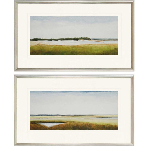 Set Of Two Marshlands II Framed Silver Framed Print Wall Art