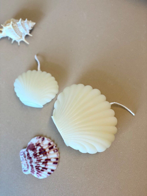 3" Ivory Clean Cotton Scented Dimensional Seashell Candle - 880024908434