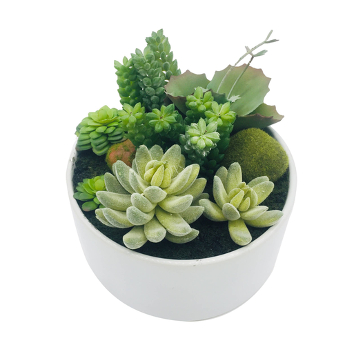 Artificial Succulent In A Round White Porcelain Planter - 880016699630