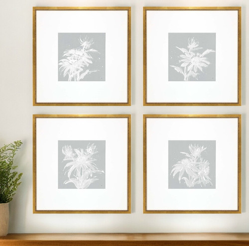 Set Of Four Echinacea Gold Framed Print Wall Art - 608219247997