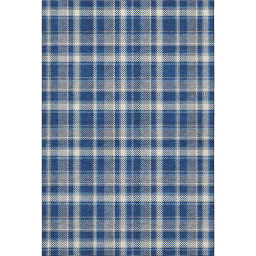 5' X 8' Navy Blue And Ivory Plaid Washable Area Rug With UV Protection - 880024875057