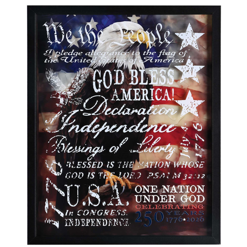 Framed Wall Eagle We The People - 603799754552