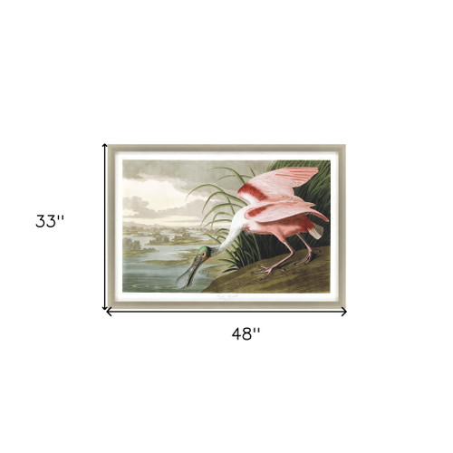 Roseate Spoonbill Silver Framed Print Wall Art - 608219177904