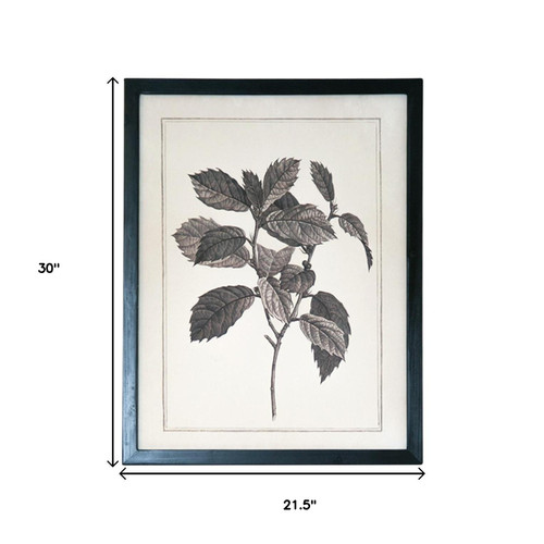 Set of Two Black And White Botanical Leaves Framed Art - 880016587890