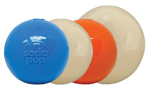 Squeak Ball - Durable Squeaky Dog Toy, Floats, Chew Toy  - 810216027810