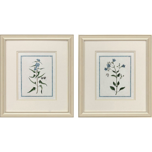 Set Of Two Shabby Chic Botanical Gold Framed Wall Art - 880016820645