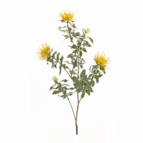 Protea Stem (Set of 6) 34.25"H Plastic/Flocking - 746427856836