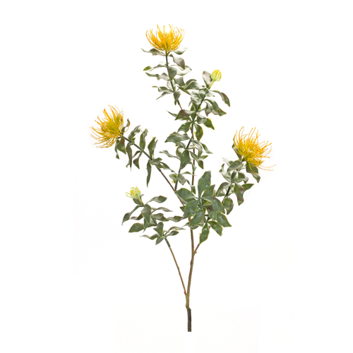 Protea Stem (Set of 6) 34.25"H Plastic/Flocking