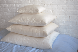 100% GOTS Organic Cotton Pillow w/zip - 642782348811