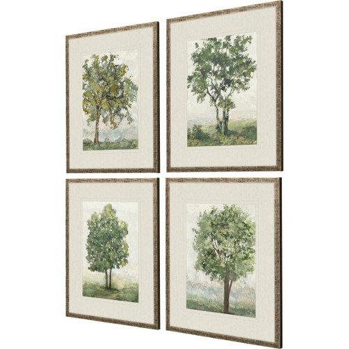 Set Of Four Countryside Growth Gold Framed Print Wall Art - 608219355210