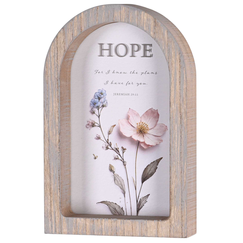 Framed Arch Hope For I Know Plans 