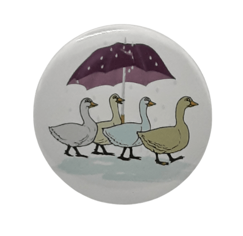 Day for Ducks