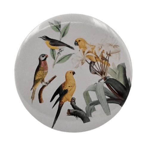Birds
