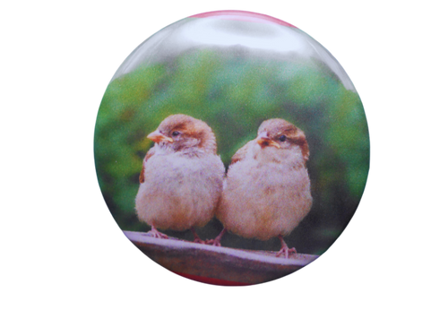 Sparrows