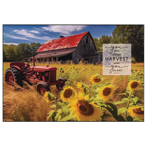 Wall Plaque You Will Always Harvest