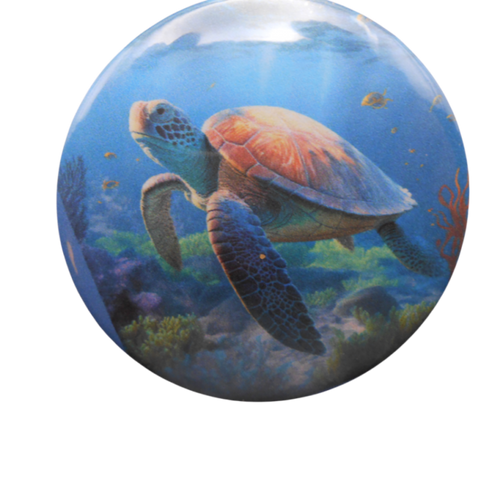 Sea Turtle