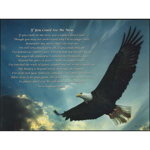 If You Could See Me Now Wall Plaque