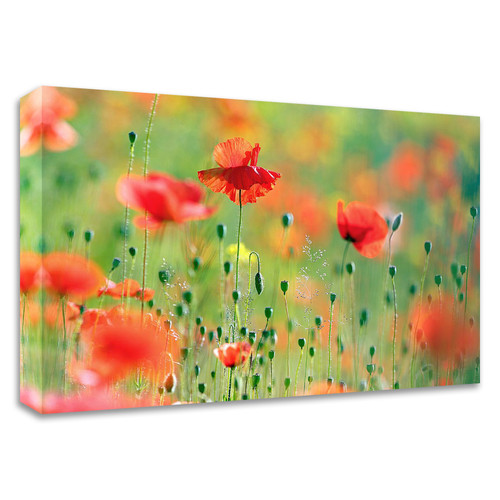 "United Colors Of Summer" Wrapped Canvas Print Wall Art