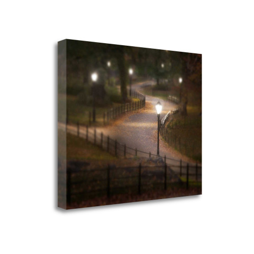 Twilight Stroll 3 Wrapped Canvas Print Wall Art