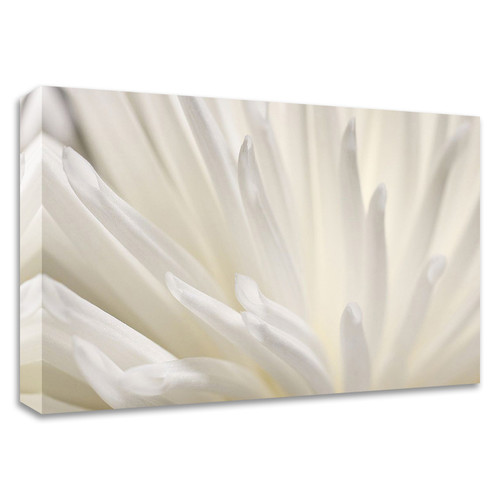 "White Flower" Wrapped Canvas Print Wall Art