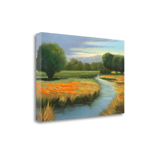 California Orange 1 Wrapped Canvas Print Living Room Wall Art