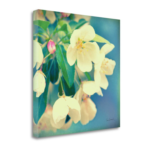 Natures Apple Blossom 2 Wrapped Canvas Print Living Room Wall Art