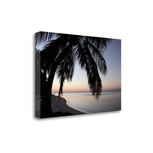 Palm Tree Sunset 1 Wrapped Canvas Print Living Room Wall Art