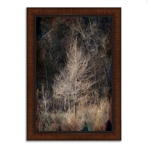 Illumination 13 Brown Picture Frame Print Wall Art