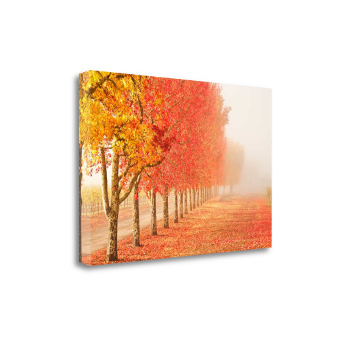 Fall Trees In The Mist 2 Wrapped Canvas Print Wall Art