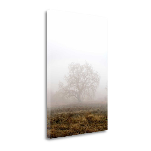 Oak Tree 29 Wrapped Canvas Print Living Room Wall Art