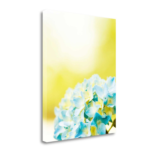 Hydrangea 4 Wrapped Canvas Print Wall Art