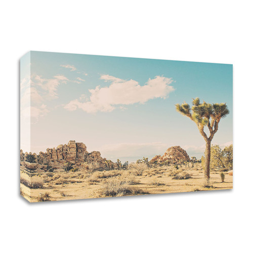 Winter In The Desert No. 3 Wrapped Canvas Print Wall Art