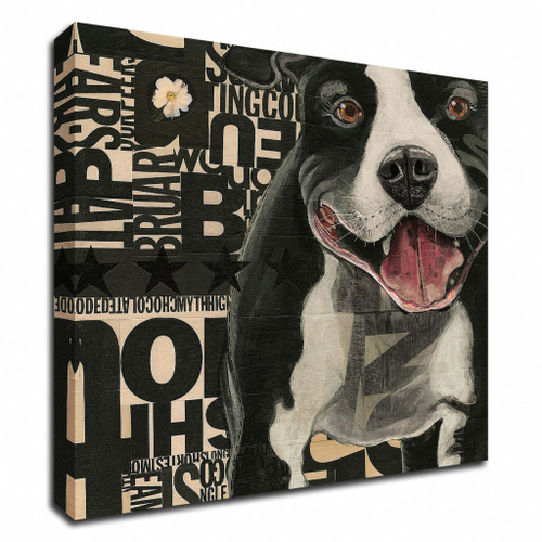 Pit Pat Wrapped Canvas Print Wall Art