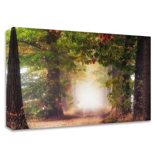 "Fall Colors" Wrapped Canvas Print Wall Art
