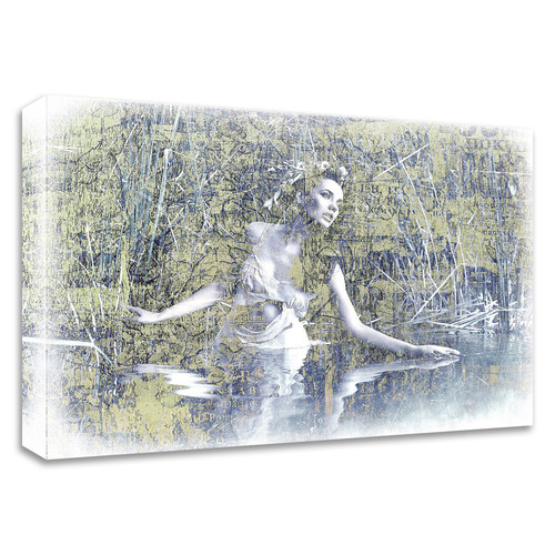 "Swan Lake" Wrapped Canvas Print Wall Art