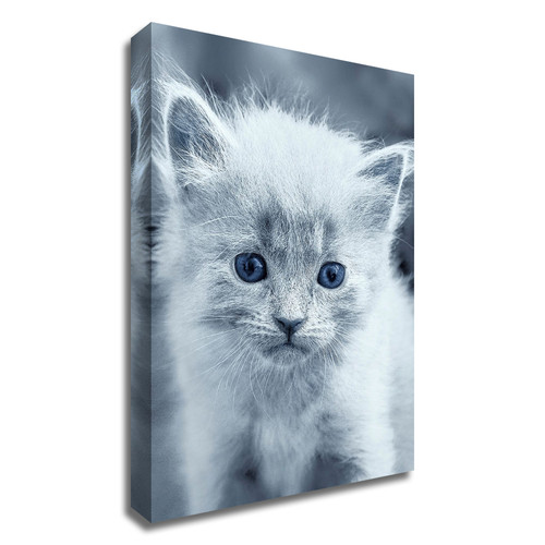 "Blue Kitty" Wrapped Canvas Print Wall Art