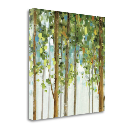 Forest Study II Wrapped Canvas Print Living Room Wall Art