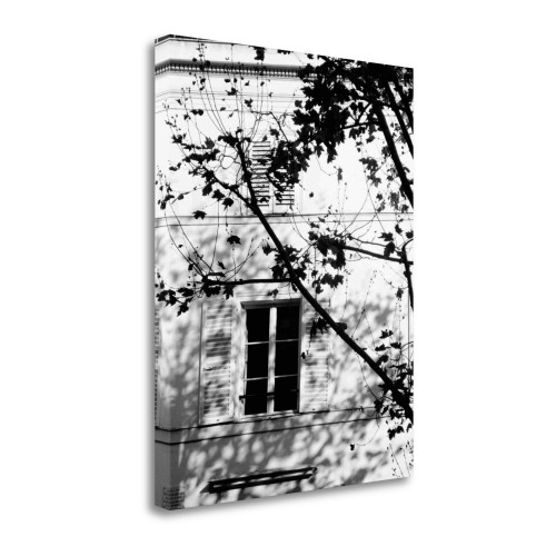Autumn Shadows Ii Wrapped Canvas Print Wall Art