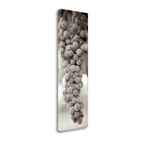 Grapes Pano 9 Wrapped Canvas Print Living Room Wall Art