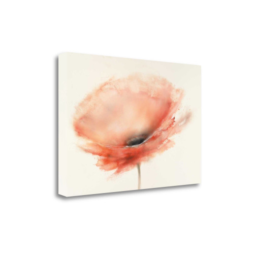 Chiffon Poppy 3 Wrapped Canvas Print Living Room Wall Art