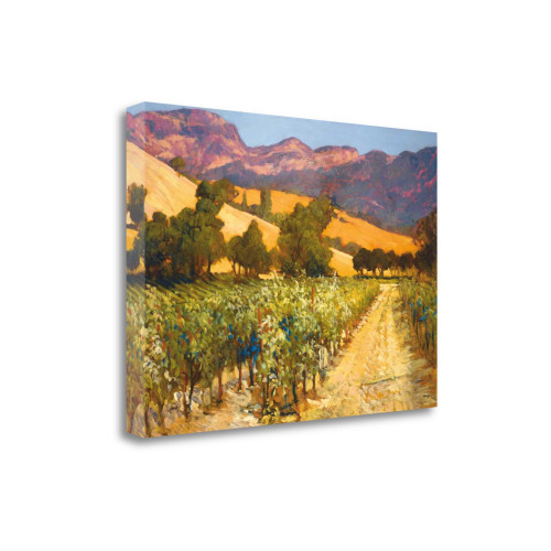 Wine Country 5 Wrapped Canvas Print Wall Art