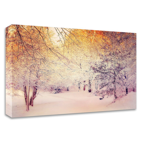 "Snowy Sunrise" Wrapped Canvas Print Wall Art