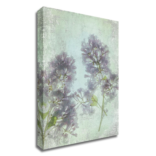 "Lilac" Wrapped Canvas Print Wall Art