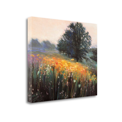 Misty Morning Iii Wrapped Canvas Print Wall Art