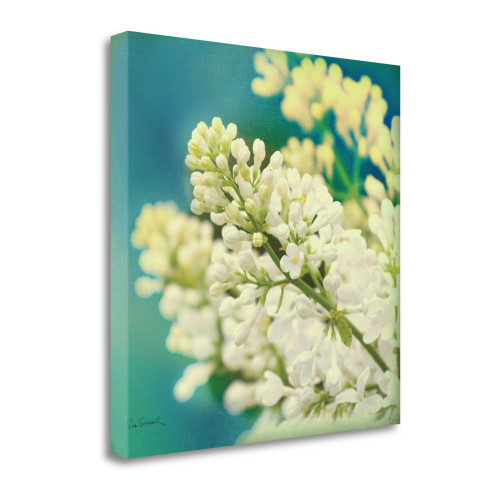 Natures Lilac Blossom 2 Wrapped Canvas Print Living Room Wall Art