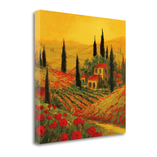 Poppies Of Toscano Ii Wrapped Canvas Print Wall Art