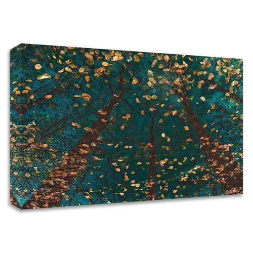 "Plato's Trees" Wrapped Canvas Print Wall Art