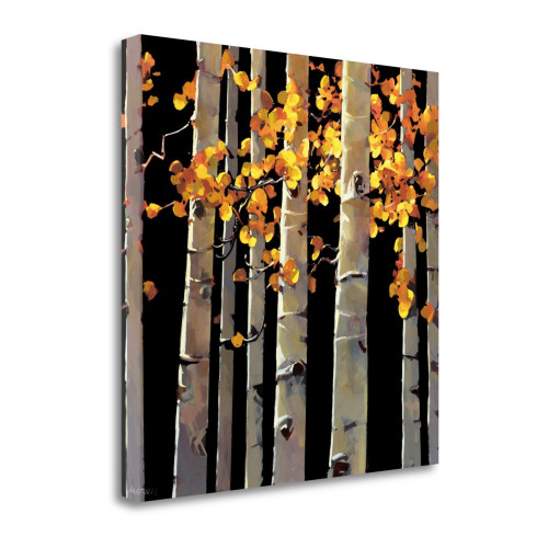 Aspen Grove 3 Wrapped Canvas Print Living Room Wall Art